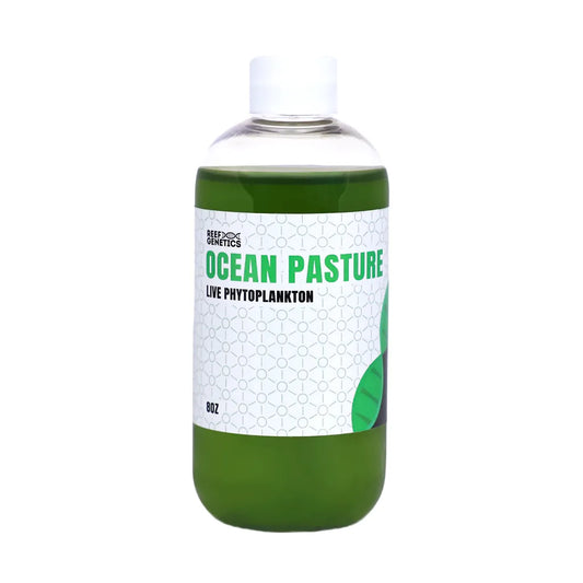 Ocean Pastures Live Green Phytoplankton - Reef Genetics
