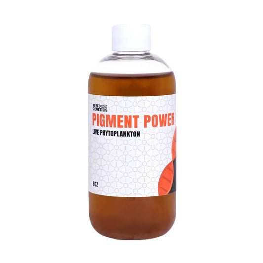 Pigment Power Live Red Phytoplankton - Reef Genetics