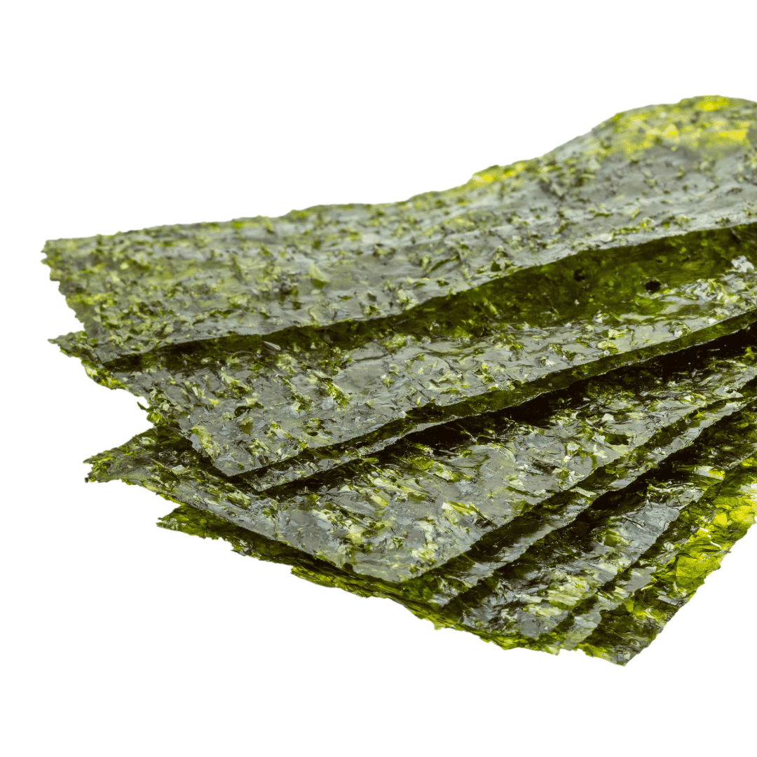 Green Seaweed - Premium Nori - Reef Genetics
