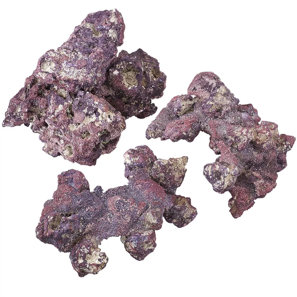 Purple Life Rock Nano Reef Kit - Caribsea