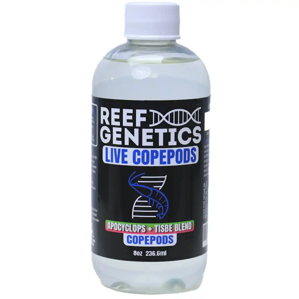 Reef Genetics Live  (Tisbe & Apocyclops) Mixed Copepods