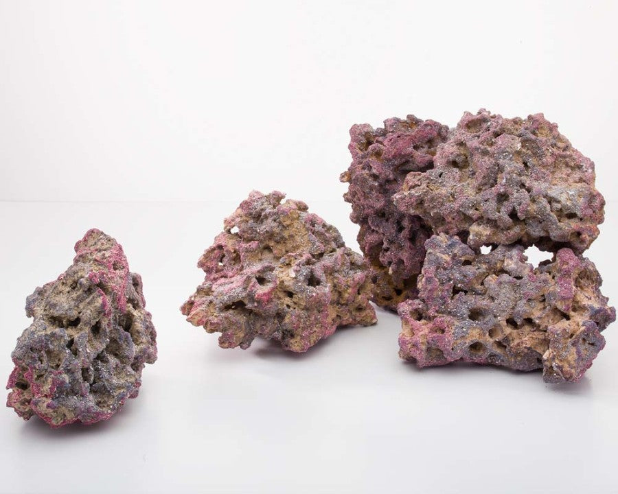 Purple Life Rock - Base Rock - CaribSea