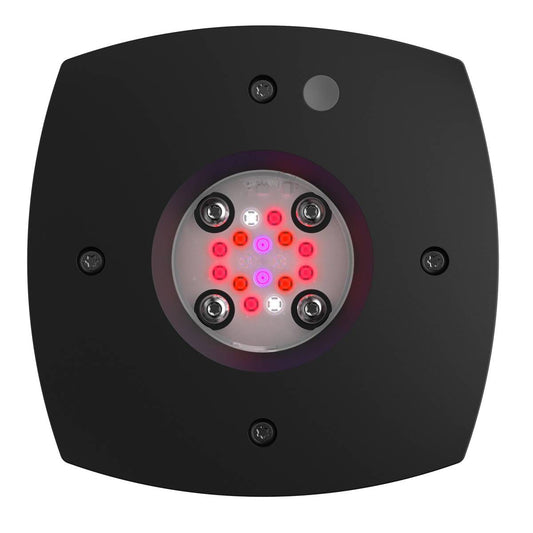 Prime 16 LED Fuge Light - Black Body - Aqua Illumination
