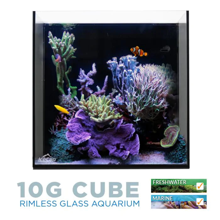 10 Gallon Cube AIO Aquarium - IceCap