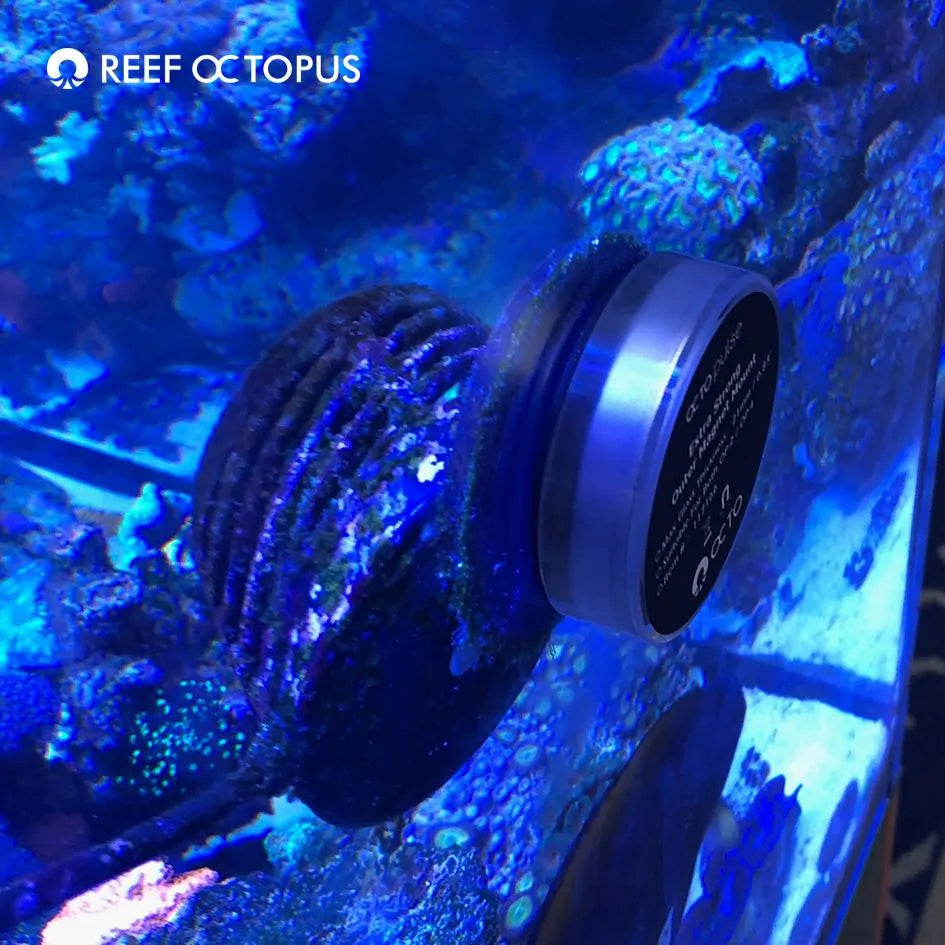 Octo Pulse Extra-Strong Magnet - Reef Octopus