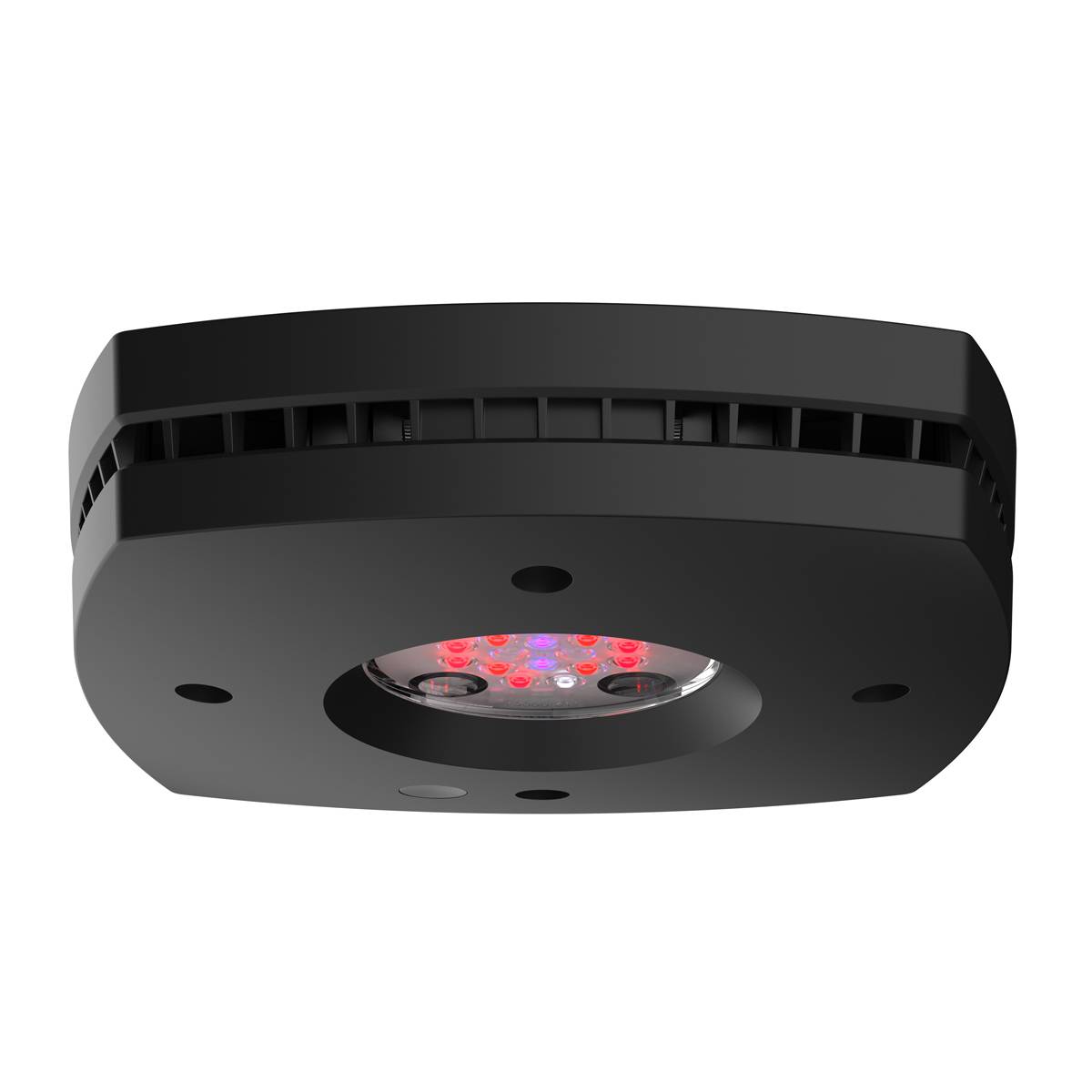 Prime 16 LED Fuge Light - Black Body - Aqua Illumination