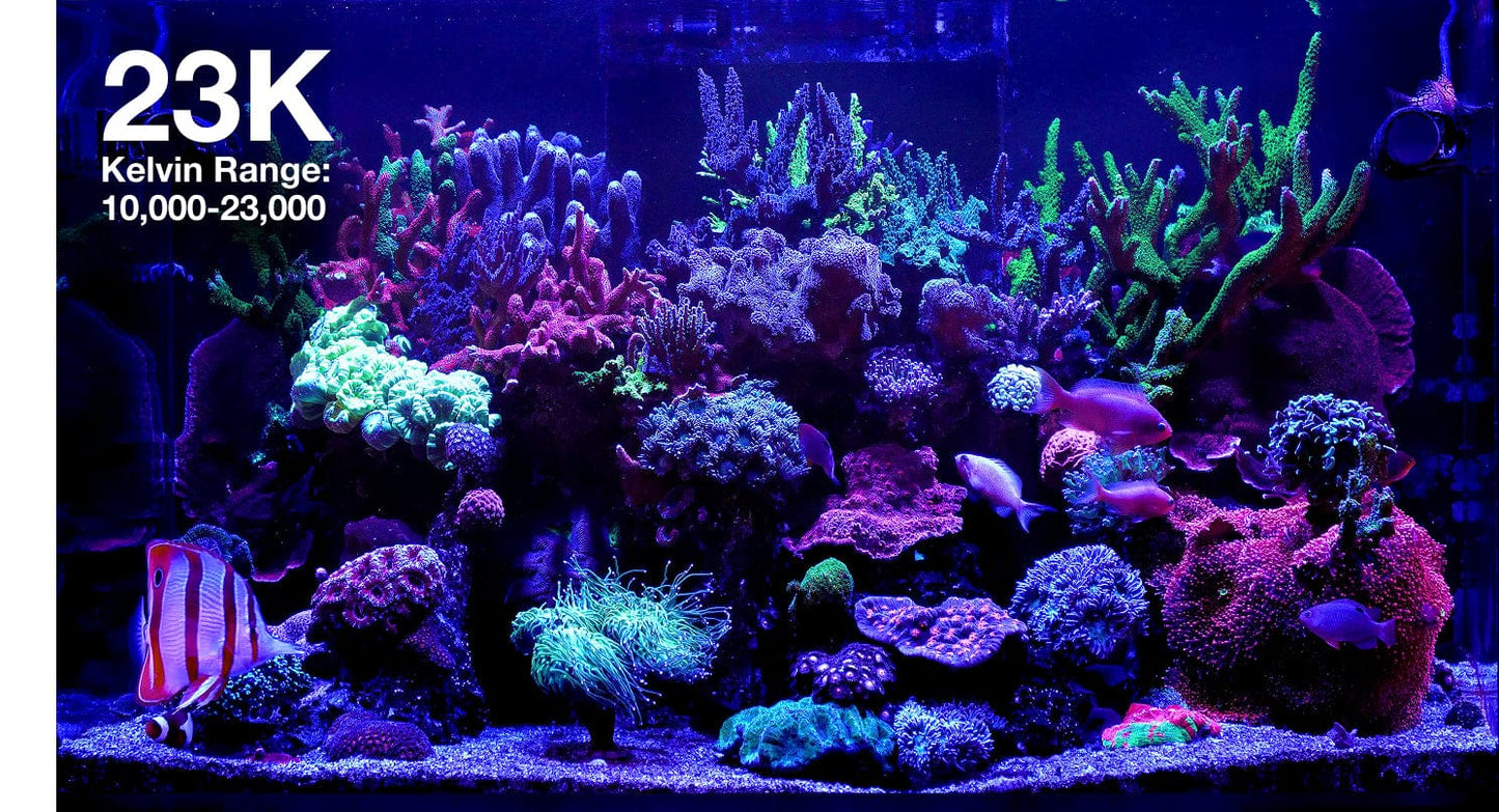 ReefLED G2 170 LED Light Fixture - Red Sea
