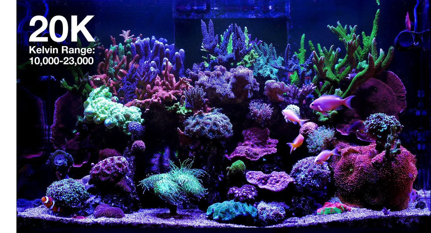 ReefLED G2 170 LED Light Fixture - Red Sea