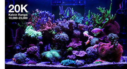 ReefLED G2 115 LED Light Fixture - Red Sea
