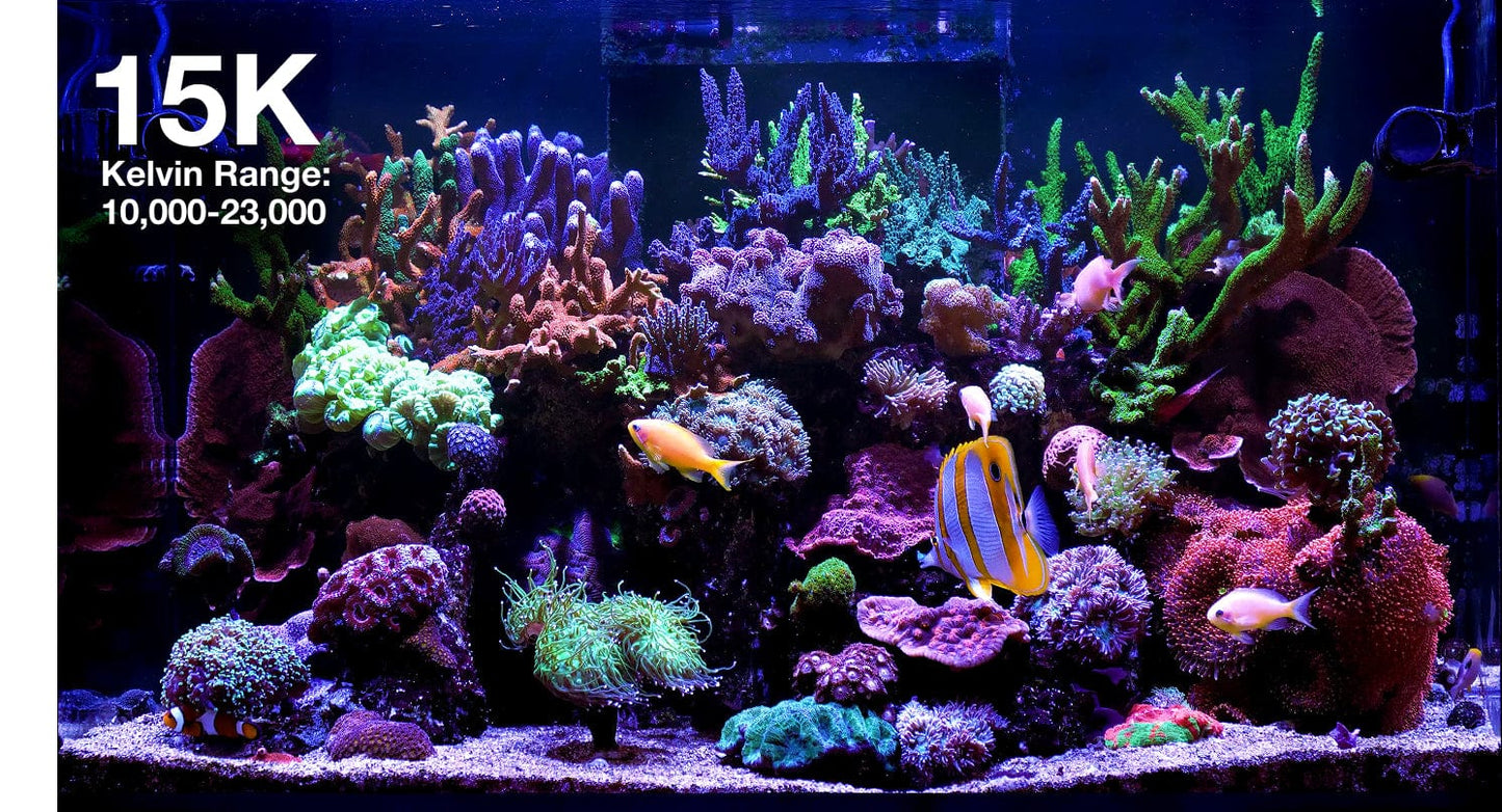 ReefLED G2 115 LED Light Fixture - Red Sea