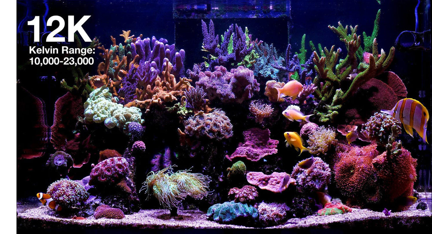 ReefLED G2 60 LED Light Fixture - Red Sea