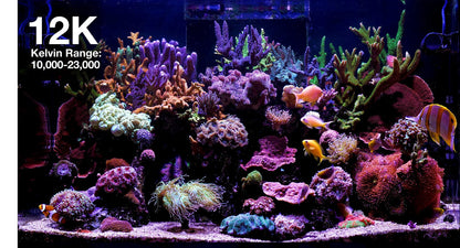 ReefLED G2 115 LED Light Fixture - Red Sea