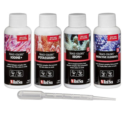 Trace Colors ABCD 4-Pack - Red Sea