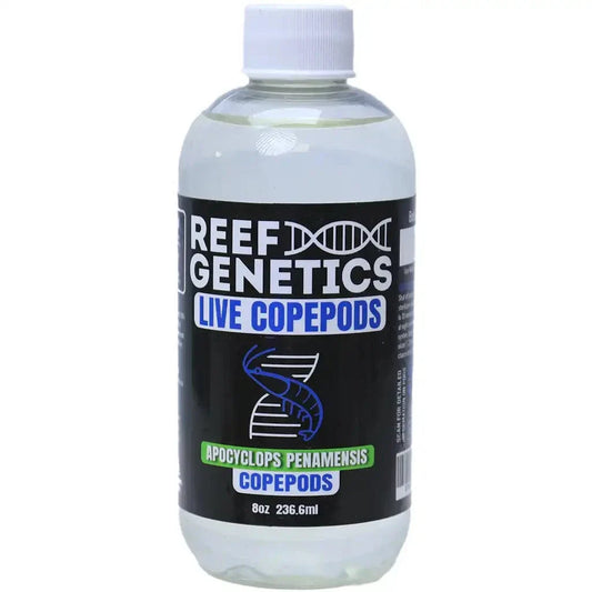 Live Apocyclops Copepods - Reef Genetics