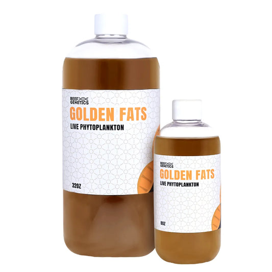 Golden Fats Live Golden Phytoplankton - Reef Genetics
