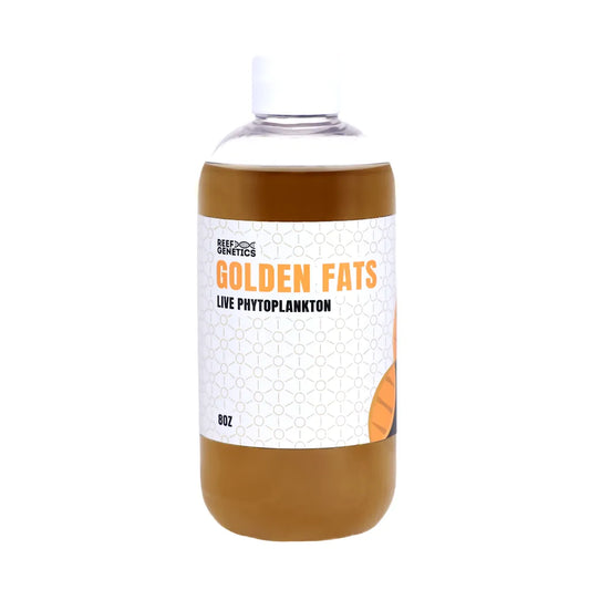 Golden Fats Live Golden Phytoplankton - Reef Genetics