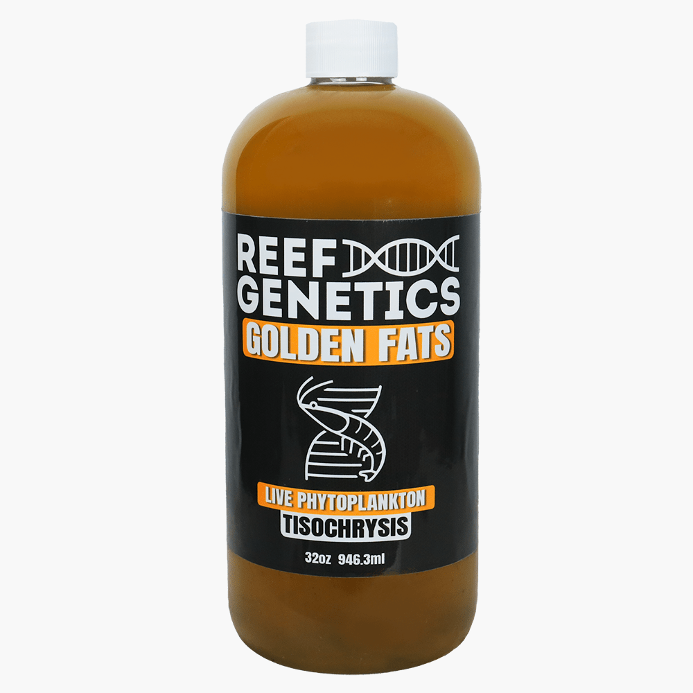 Live Golden Phytoplankton (Tisochrysis lutea (T-ISO)) - Reef Genetics