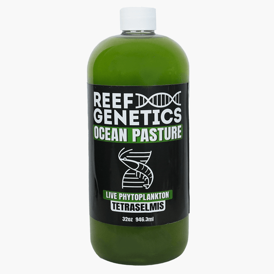 Ocean Pastures Live Green Phytoplankton - Reef Genetics