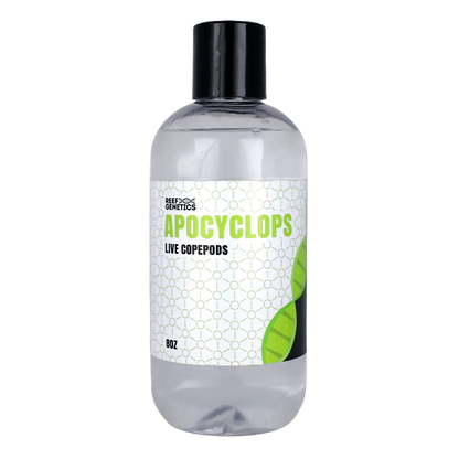 Live Apocyclops Copepods - Reef Genetics