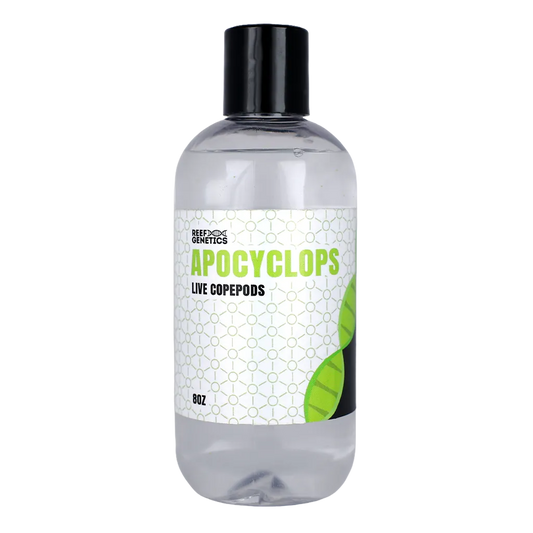 Live Apocyclops Copepods - Reef Genetics