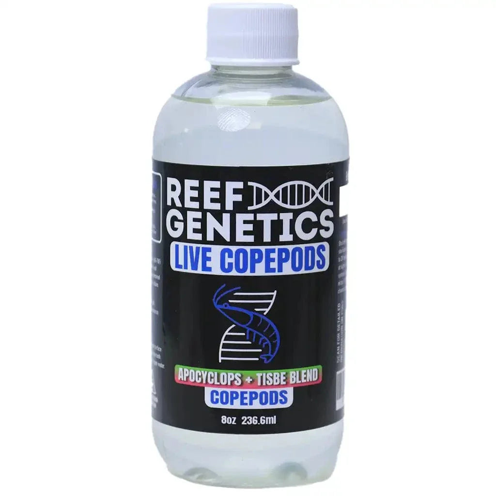 Live Mixed Copepods (Tisbe & Apocyclops) - Reef Genetics