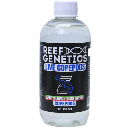 Live Mixed Copepods - Reef Genetics