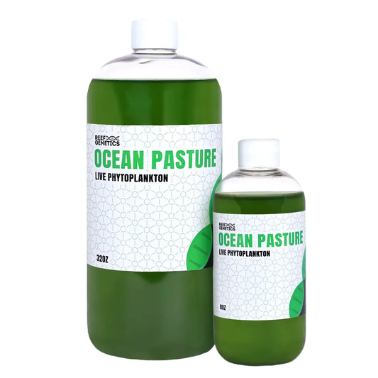 Ocean Pastures Live Green Phytoplankton - Reef Genetics