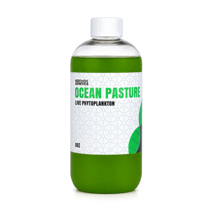 Ocean Pastures Live Green Phytoplankton - Reef Genetics