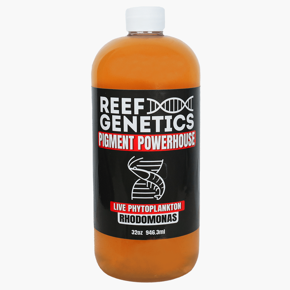Live Red Phytoplankton (Rhodomonas salina) - Reef Genetics