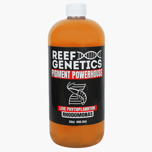 Pigment Power Live Red Phytoplankton - Reef Genetics
