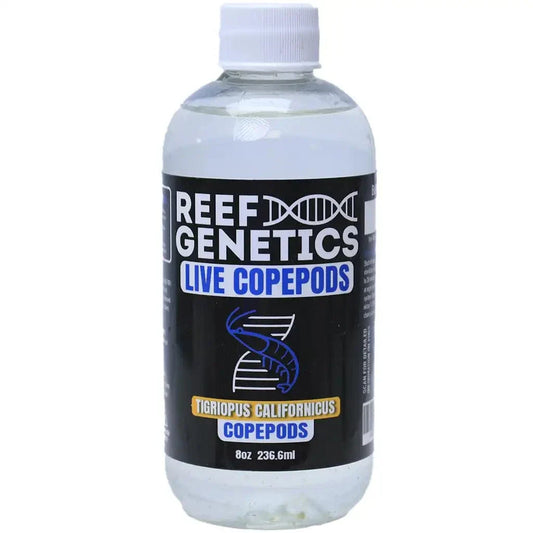 Live Tigriopus Copepods - Reef Genetics