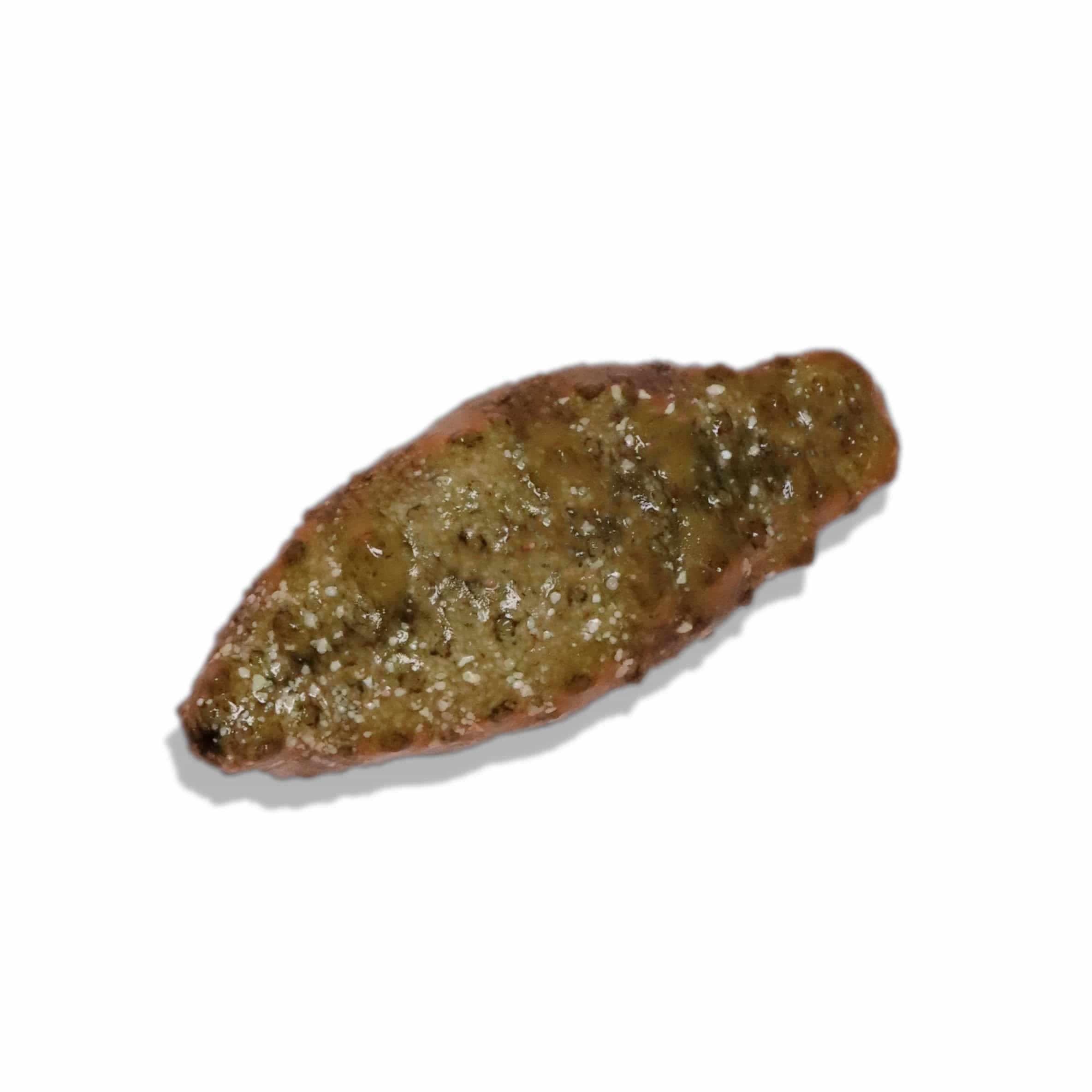 Sea Cucumber - Sustainably Aquacultured