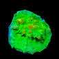 Neon Cosmic Candy Bounce Chalice Coral