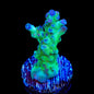 TSA Mossberry Acropora Coral
