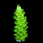 TSA The Banger Tenuis Acropora Coral
